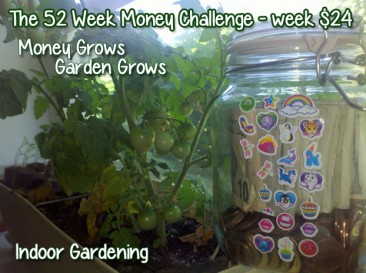The 52 Week Money Challenge – Week $24 #52weekmoneychallenge