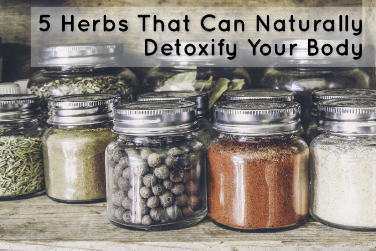 Herbs That Can Naturally Detoxify Your Body Stuckathomemom