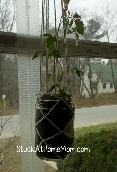 Easy Macrame Style Plant Hanger