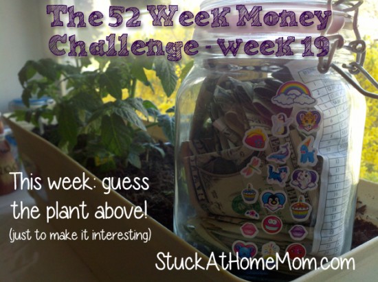 The 52 Week Money Challenge Week 19