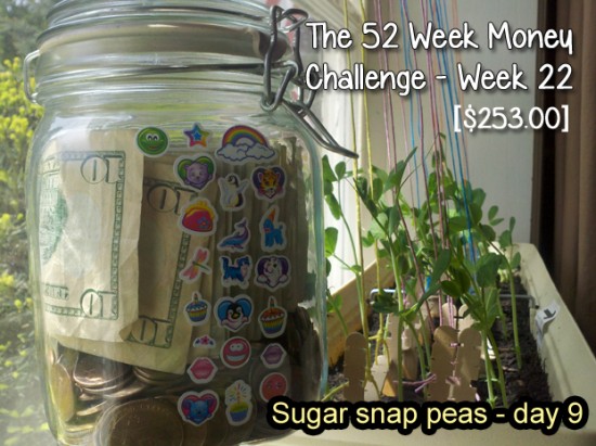 The 52 Week Money Challenge - Week 22