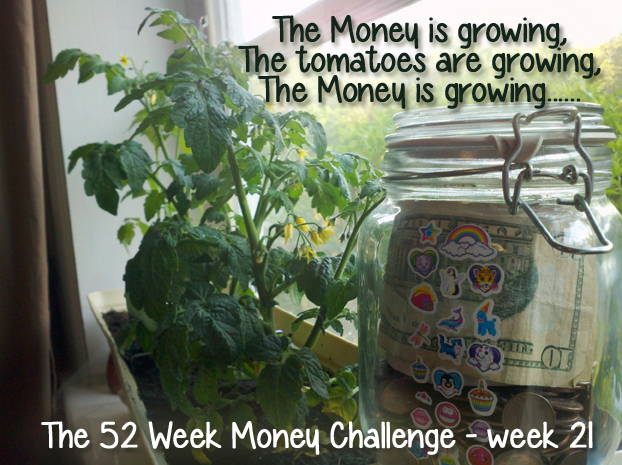 The 52 Week Money Challenge - week 21