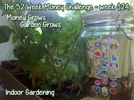 The 52 Week Money Challenge - Week $24 #52weekmoneychallenge