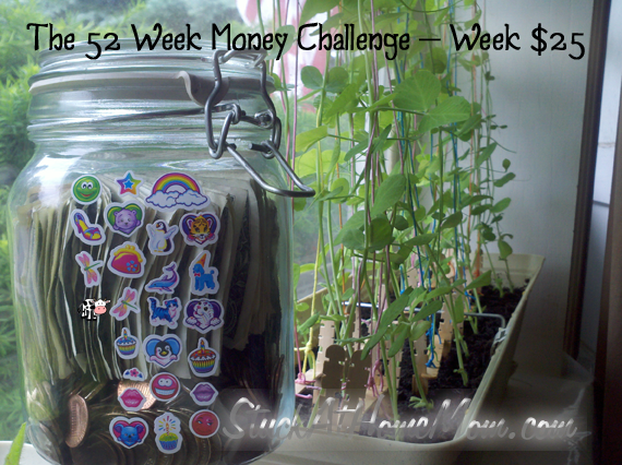 The 52 Week Money Challenge – Week $25 #52weekmoneychallenge The 52 Week Money Challenge – Week $25 #52weekmoneychallenge