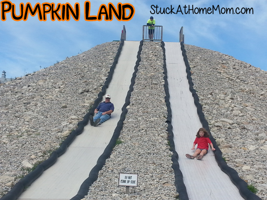 Pumpkin Land Slide