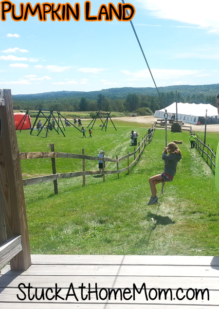 Pumpkin Land Zip Line