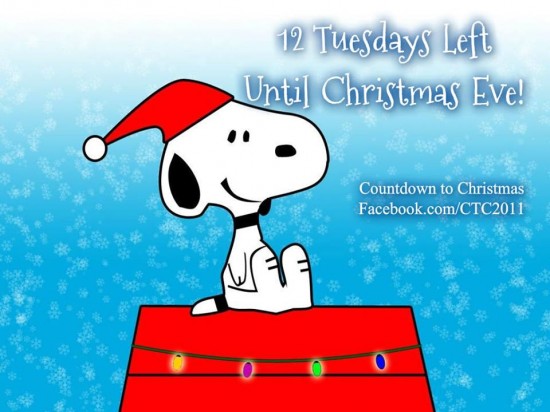 12 Tuesdays 'til Christmas