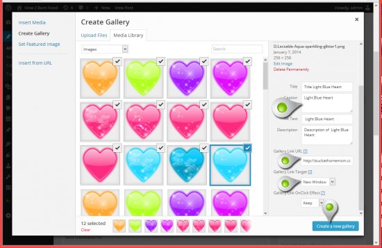 WP Gallery Custom Links