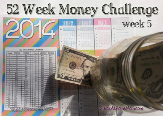 52 Week Money Challenge Week 5