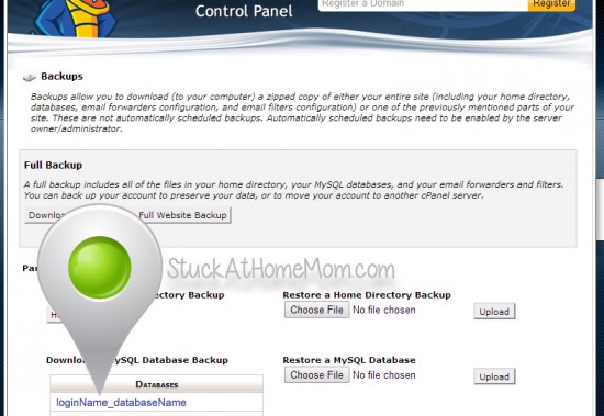 How to Backup a Database Using cPanel Step by Step with Pictures