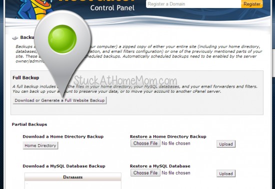 How to Backup a Website Using cPanel Step by Step with Pictures