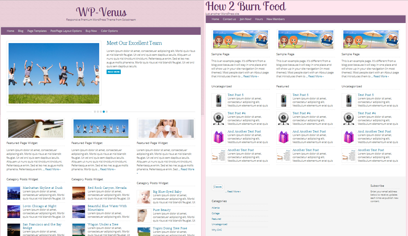My Love Hate Relationship with SoloStream Themes My Love Hate Relationship with SoloStream Themes