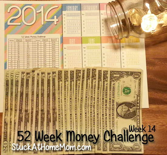 52 Week Money Challenge Week 14 #52weekmoneychallenge