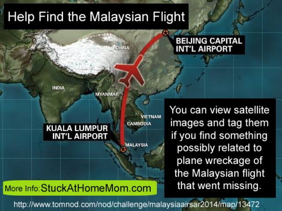 Help Find the Malaysian Flight