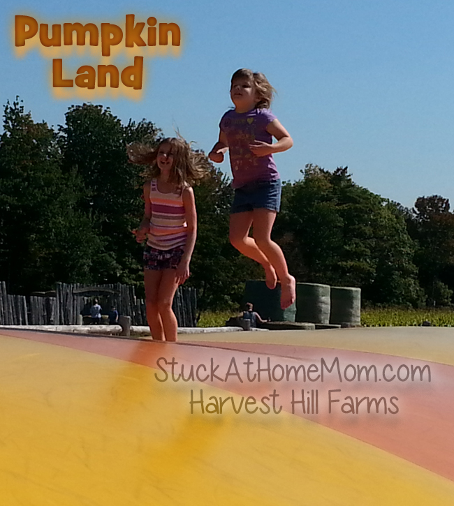 Pumpkin Land