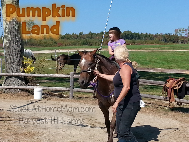 Pumpkin Land