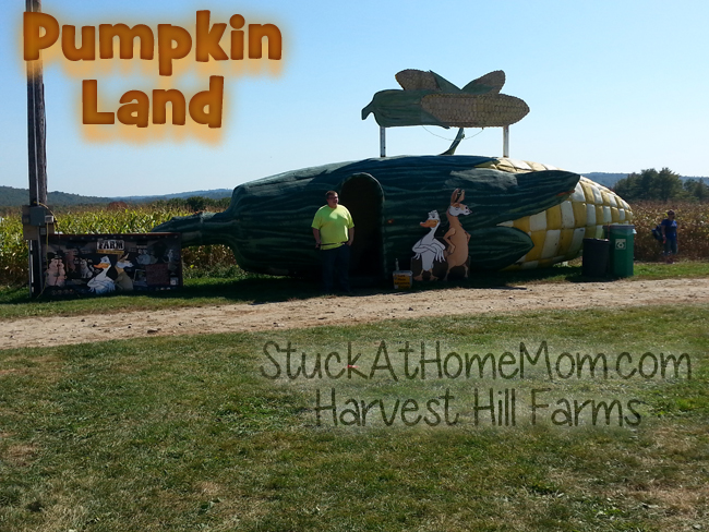 Pumpkin Land