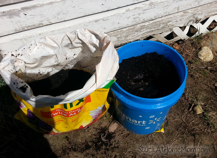 Bucket Garden