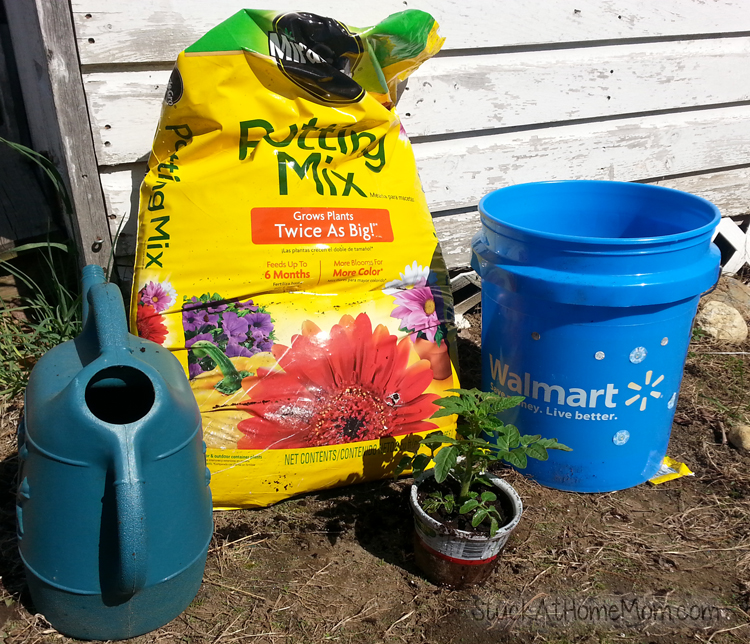 How to Bucket Garden