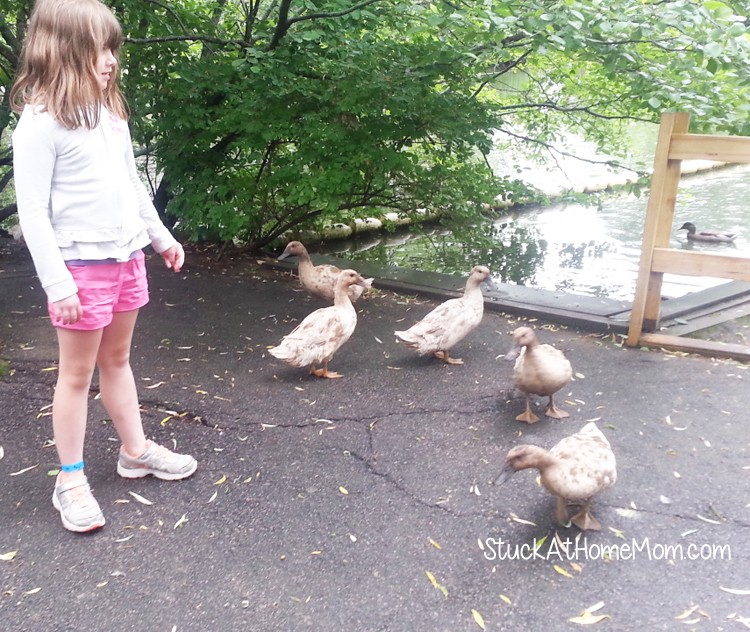 York's Wild Kingdom #Zoo #AmusementPark