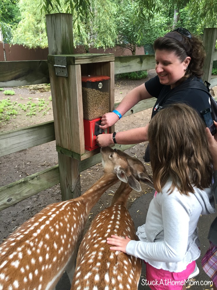 York's Wild Kingdom #Zoo #AmusementPark