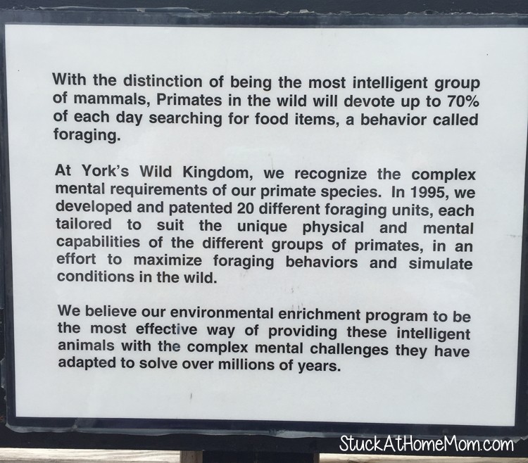 York's Wild Kingdom #Zoo #AmusementPark