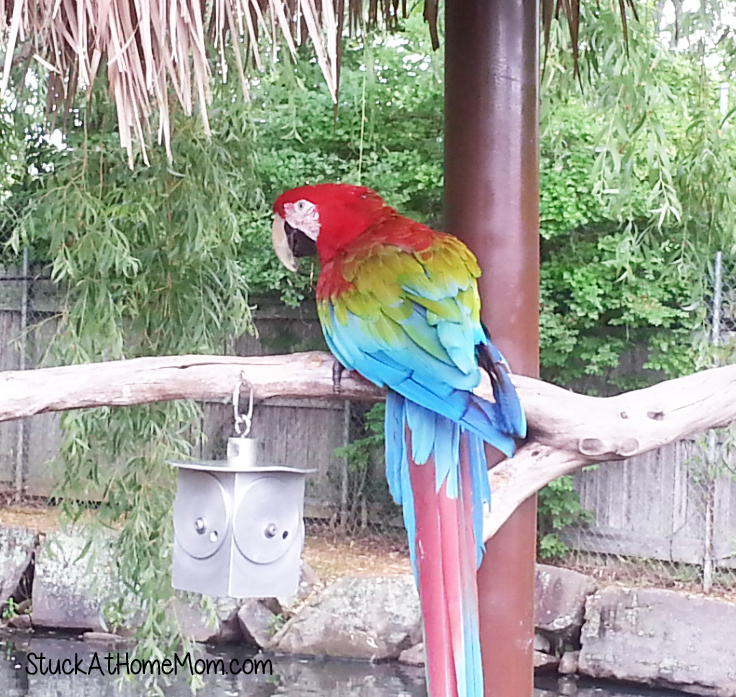 York's Wild Kingdom #Zoo #AmusementPark