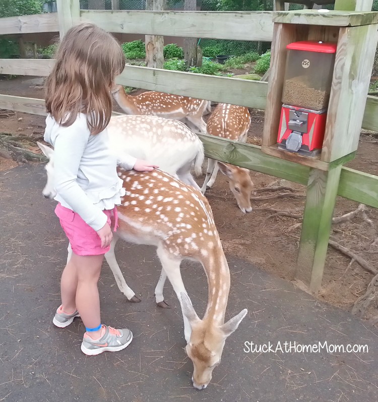 York's Wild Kingdom #Zoo #AmusementPark