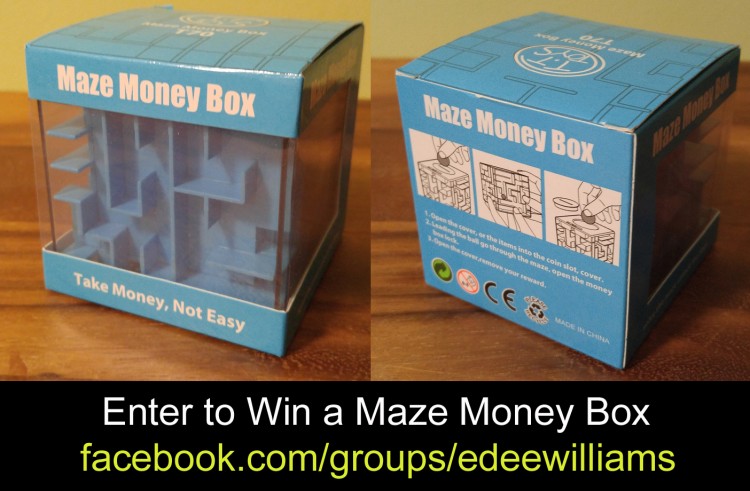 Maze Money Box