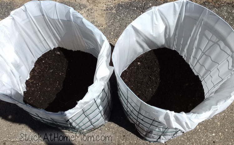 How to Plant Potatoes in a Trash Bag