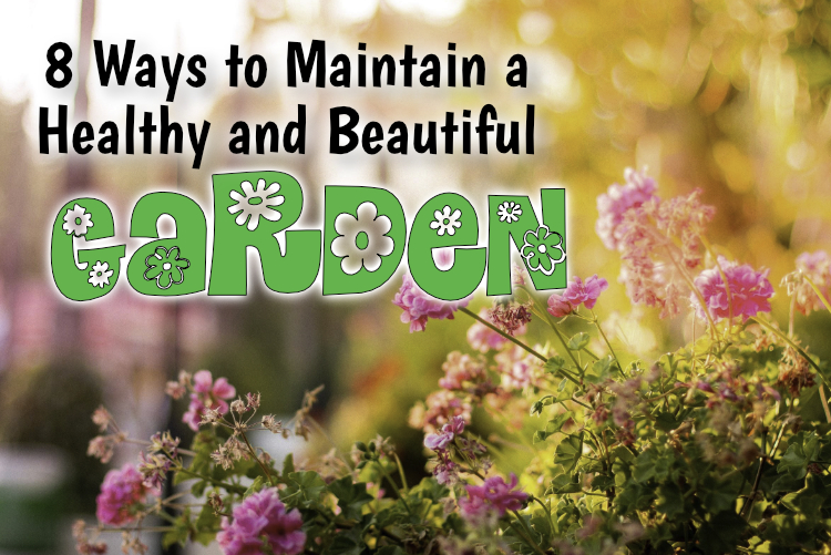 8 Ways to Maintain a Healthy and Beautiful Garden 8 Ways to Maintain a Healthy and Beautiful Garden