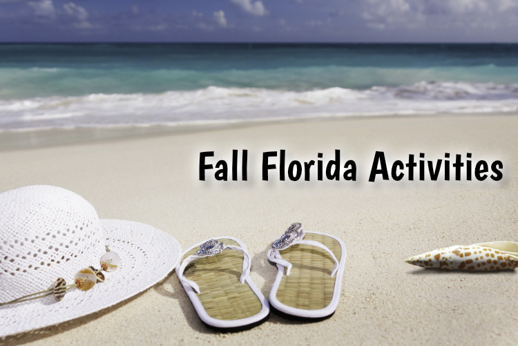 Fall Florida Activities Fall Florida Activities