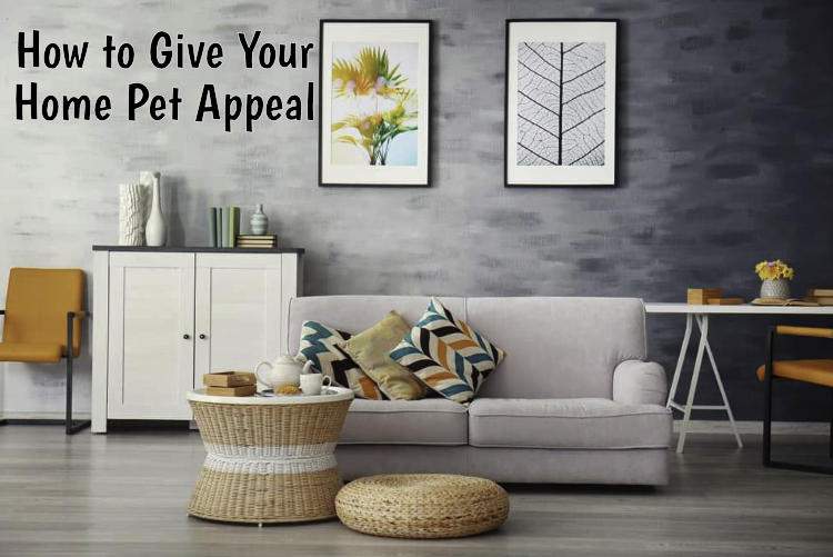 How to Give Your Home Pet Appeal How to Give Your Home Pet Appeal