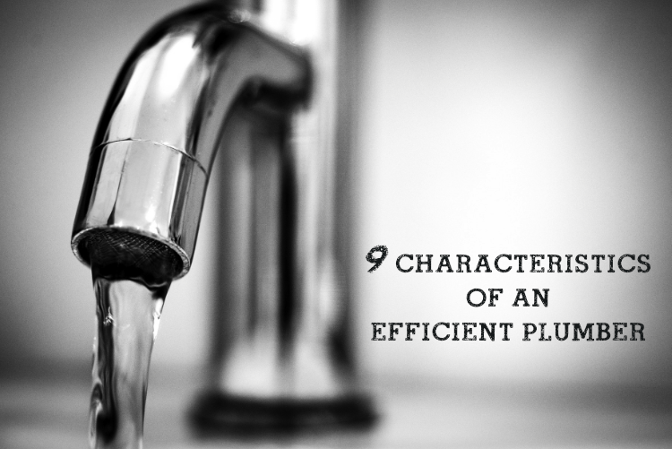 9 Characteristics of an Efficient Plumber 9 Characteristics of an Efficient Plumber