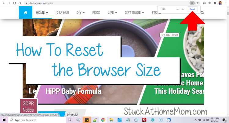 Why is the Website Too Big or Too Small?? How to Adjust the Browser.