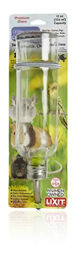 Lixit clear glass chew-proof water bottle with flat-sided design