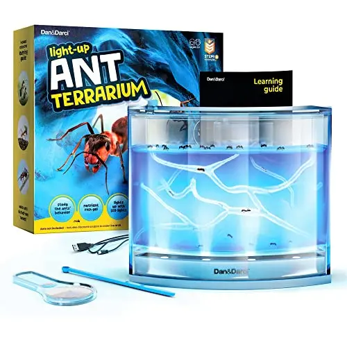 Dan&Darci Light-up Ant Farm with blue glowing gel and LED lights