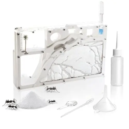 Kahopy Ant Farming Castle with automatic water system and educational tools