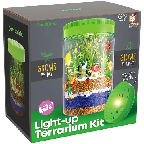 Light-up terrarium kit with growing plants and LED illumination