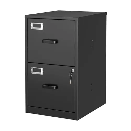 BYNSOE black vertical file cabinet with two drawers and locking system