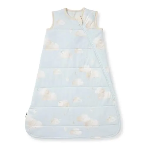 Burt's Bees Baby premium infant wearable blanket