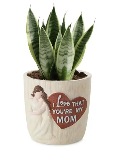 Afigurna colorful hand-painted 3D art planter with mom and daughter design