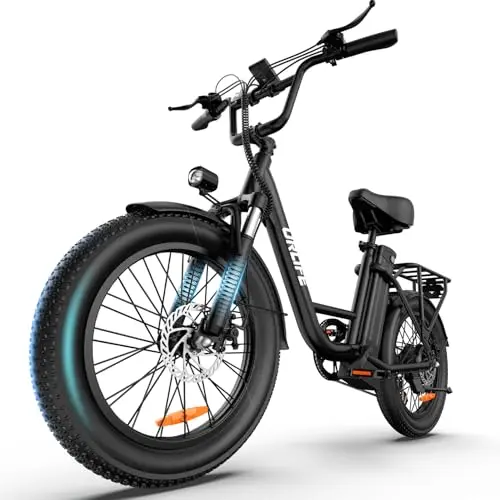 URLIFE electric bike with fat tires and cargo rack